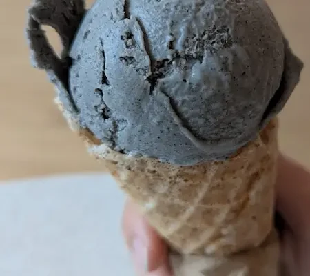Moo Shu Ice Cream Ottawa Review – Incredible Waffle Cone but Disappointing Black Sesame Flavour – Average EV Score: 5.6/10