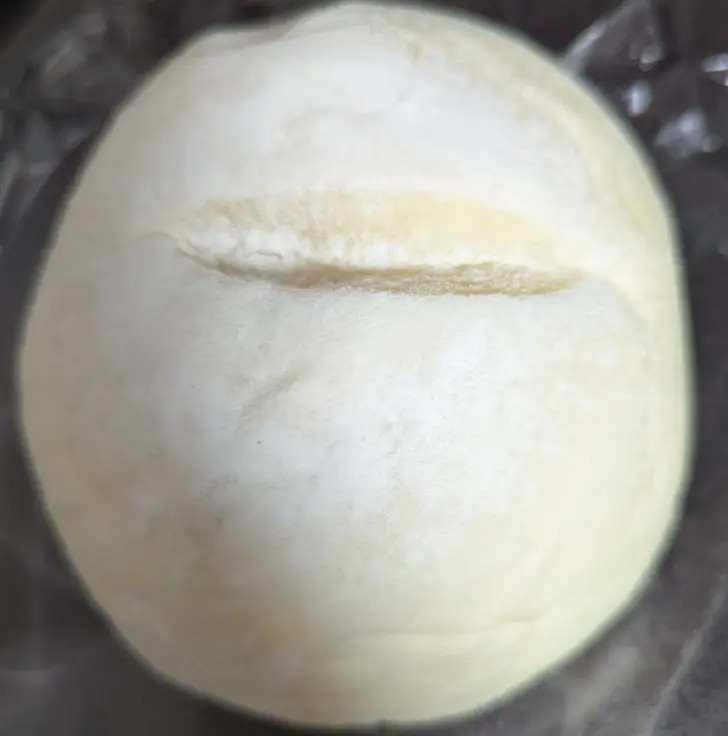 Soft Rice Bread from bostonbake