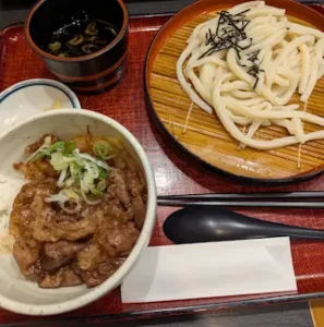 Beef rice bowl with cold udon from Kineya